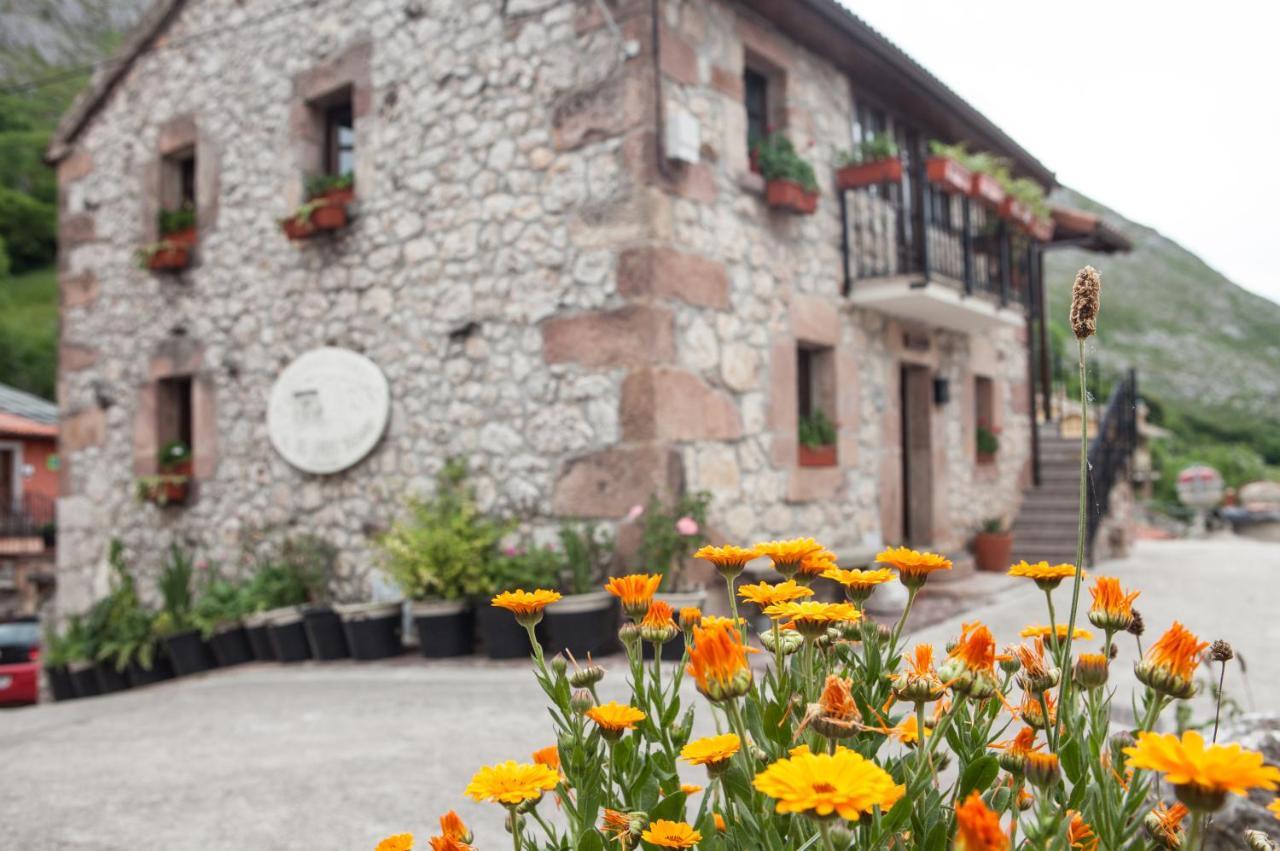 Apartamentos Rurales El Tio Pablo Picos De Europa Tresviso エクステリア 写真