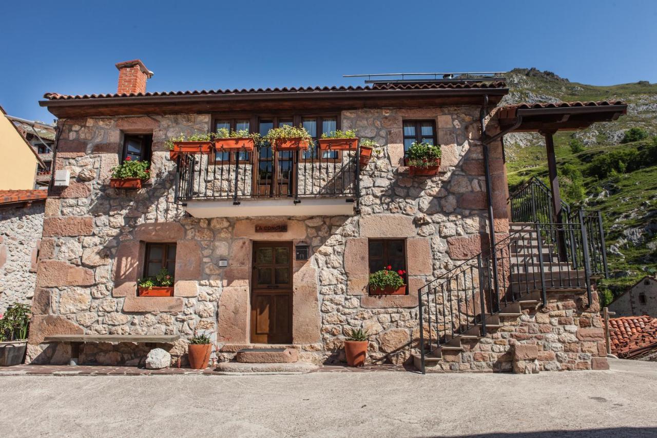Apartamentos Rurales El Tio Pablo Picos De Europa Tresviso エクステリア 写真